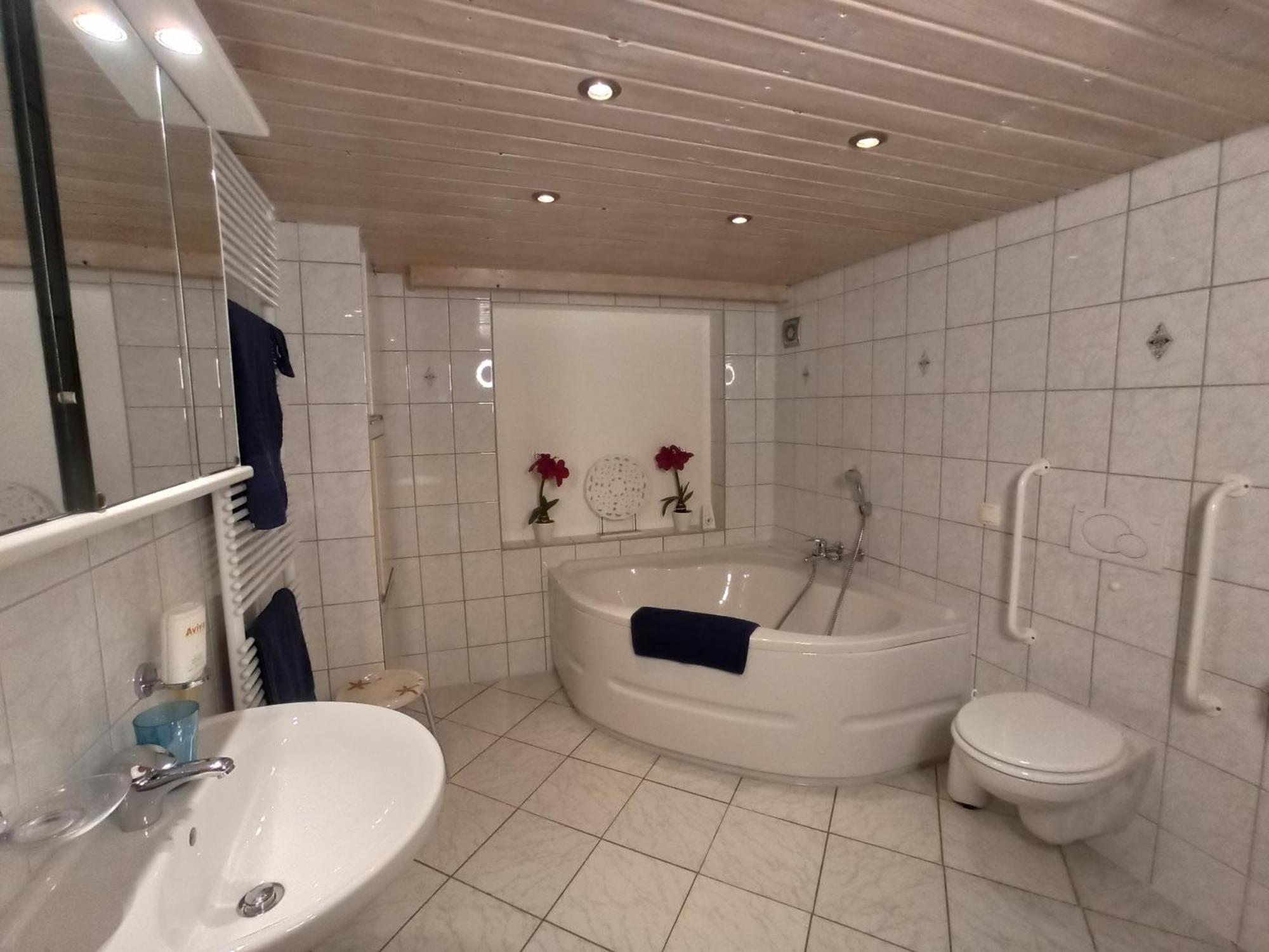 Aviva - Urlaub In Unmittelbarer Seenaehe Bodman-Ludwigshafen